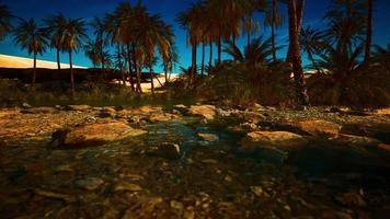 Green oasis with pond in Sahara desert photo