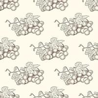Hand drawn grape bunches and leaves seamless pattern. vector