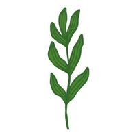 Hand drawn branch with leaves vector