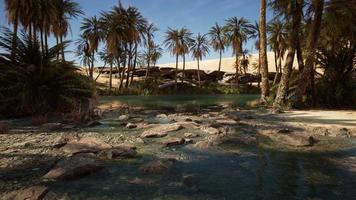 Idyllic oasis in the Sahara Desert photo