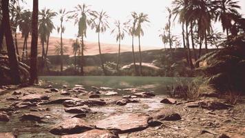 oasis in the middle of the desert with a lot of trees photo