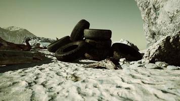 old tires overgrown embedded in the sand photo