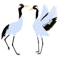 Set Cranes birds isolated on white background. Beautiful birds gray color from asian culture standing and dancing design element in flat style. vector