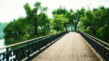 8k old bridge in park in summer time photo