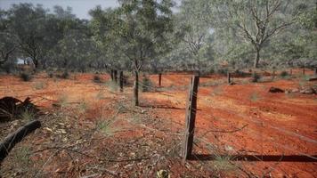 rural farm boundary fencing in poor condition and long dead dry grass photo