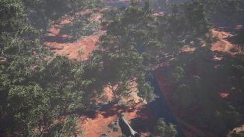 aerial view of landscape with green tropical trees and local roads photo