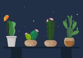 Set of colorful cactus in separate pots on night sky background. Flat style cartoon illustration vecto vector