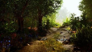 old wooden fence and dirt road in the countryside at summer season photo