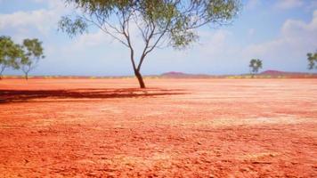 cracked ground dry land during the dry season photo