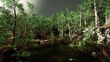 small pond in the forest with moss covered rocks photo