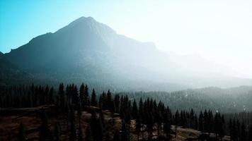 Aerial view over Mountain range with pine forest in Bavaria photo