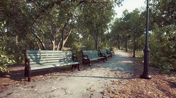 Empty benches at public park during curfew cause of Corona Virus quarantine photo