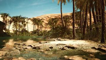 Green oasis with pond in Sahara desert photo