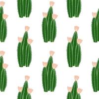 Blossom cactus seamless pattern on white background. Cacti wallpaper. vector