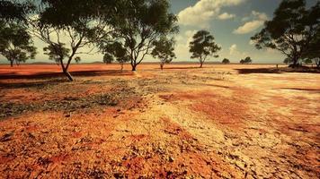 cracked ground dry land during the dry season photo