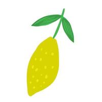 Doodle lemon isolated on white background. Summer fruit vector illustration.