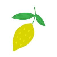 Lemon in doodle style isolated on white background. Summer fruit vector illustration.