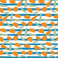 Contrast doodle seamless pattern with orange pumpkin and grey zucchini food ornament. White bacgound with blue strips. vector