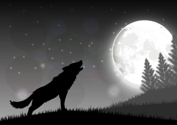 Silhouette of a wolf standing on a hill at night with moon