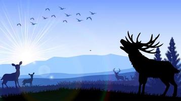 Silhouette of  deer and kangaroo standing on the time of morning vector