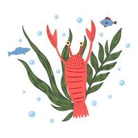 Composition crayfish with fish and seaweed isolated on white background. Cartoon cute red color in doodle. vector