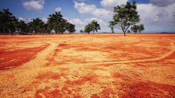 badly cracked earth under a scorching sun photo