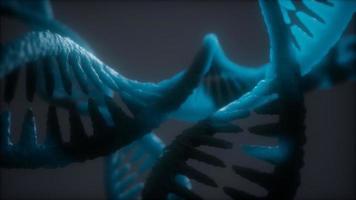 loop double helical structure of dna strand close-up animation photo