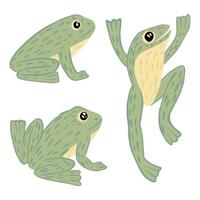 establecer ranas aisladas sobre fondo blanco. lindo personaje en diferentes poses, se sienta y salta. divertido reptil de agua tropical. vector