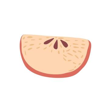 Red a slice of apple isolated on white background. Apple hand drawn in doodle style. vector