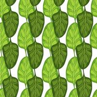 Seamless pattern Spinach salad on white background. Modern ornament with lettuce. vector