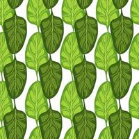 Seamless pattern Spinach salad on white background. Modern ornament with lettuce. vector