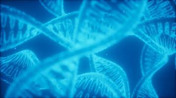 structure of the DNA double helix animation video