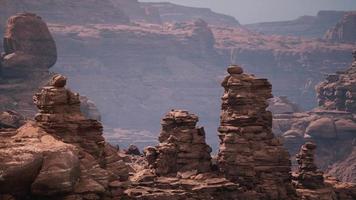 rochers dorés dans le grand canyon video