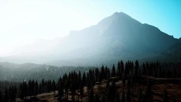 Rocky mountain range with trees photo