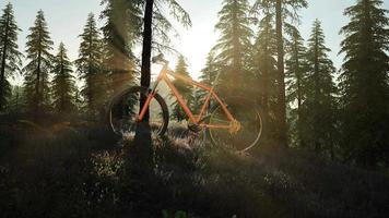 bicicleta na floresta de montanha video