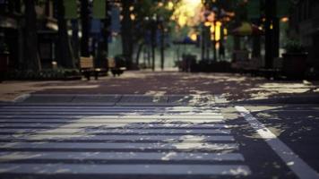 empty closed Park during the covid-19 pandemic in 2020 video