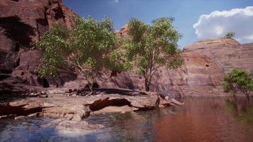 colorado river with gorgeous sandstone walls and canyons video
