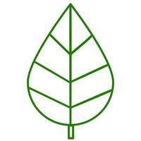 Green leaf doodle line art. vector