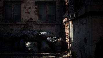 Plastic trash bags on curb outside city building video