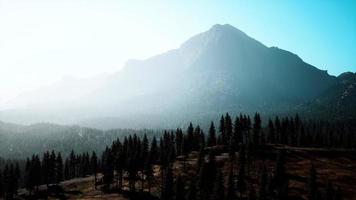 Rocky mountain range with trees video