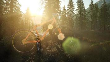 bicycle in mountain forest at sunset photo