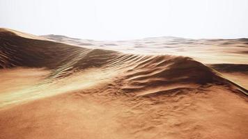 view of nice sands dunes at Sands Dunes National Park photo