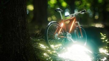 Mountain bike on the forest path photo