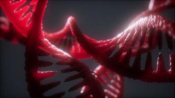 loop double helical structure of dna strand close-up animation photo