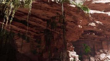 inside a limestone cave with plants and sun shine video