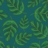 Tropical monstera leaves seamless repeat pattern . Exotic plant. vector