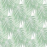 Tropical fern leaves seamless pattern on white background. Botanical vector illustration.