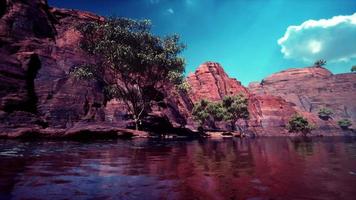 lac powell à une journée ensoleillée en été video