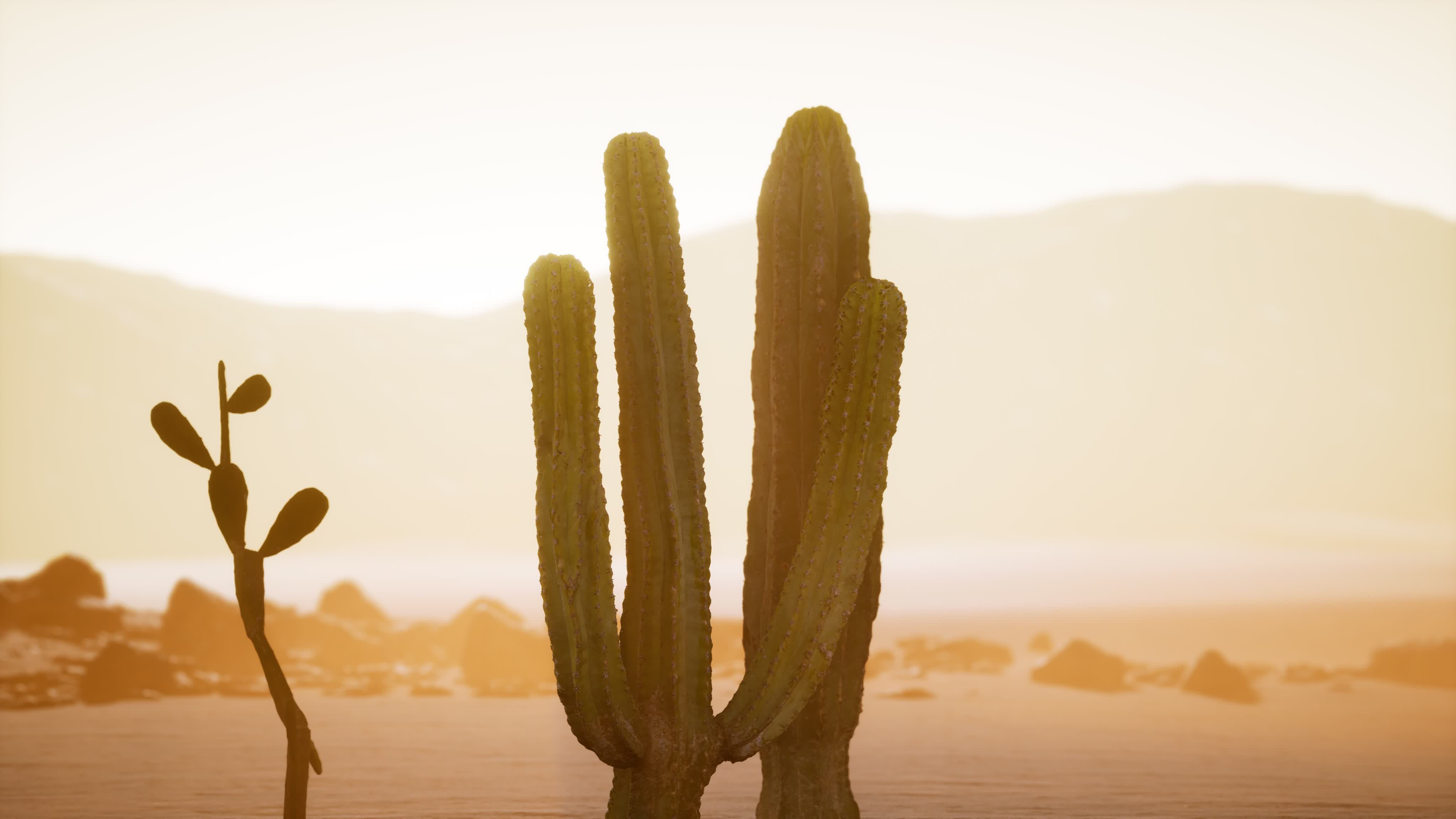 Arizona desert sunset with giant saguaro cactus 5612872 Stock Video at ...