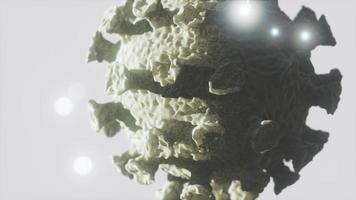 vista microscópica de un virus infeccioso corona covid-19 video